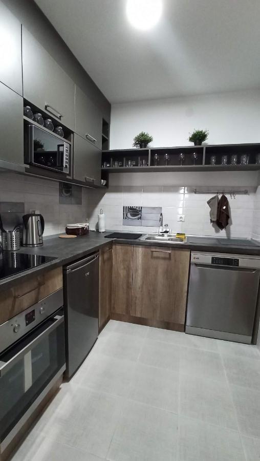 Luxury Apartments Parking In Garage Ниш Екстер'єр фото