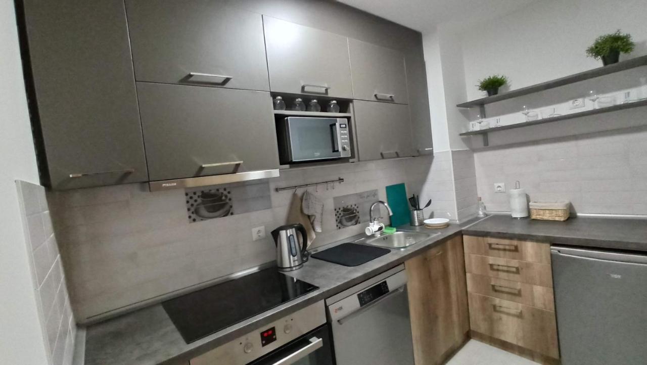 Luxury Apartments Parking In Garage Ниш Екстер'єр фото