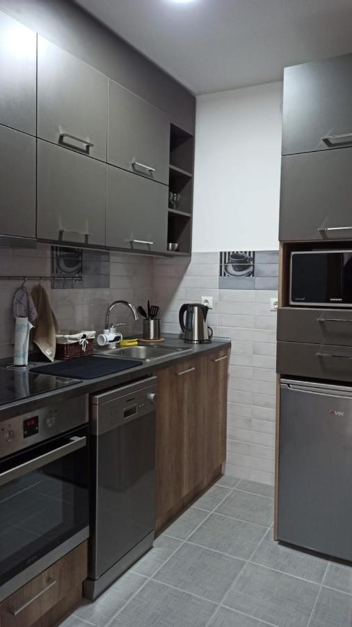 Luxury Apartments Parking In Garage Ниш Екстер'єр фото